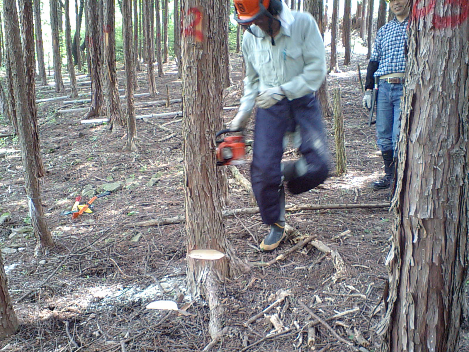 CA340735.JPG